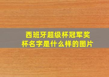 西班牙超级杯冠军奖杯名字是什么样的图片