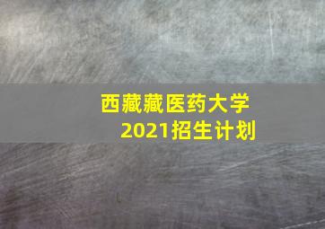 西藏藏医药大学2021招生计划