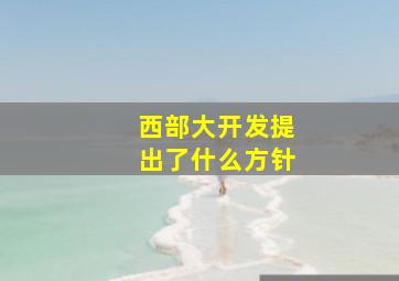 西部大开发提出了什么方针