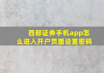 西部证券手机app怎么进入开户页面设置密码