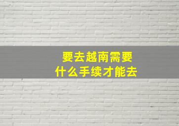 要去越南需要什么手续才能去