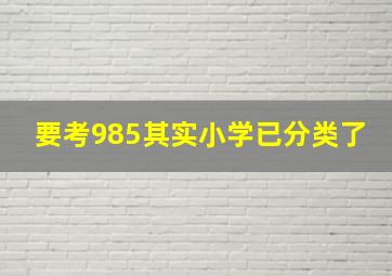 要考985其实小学已分类了