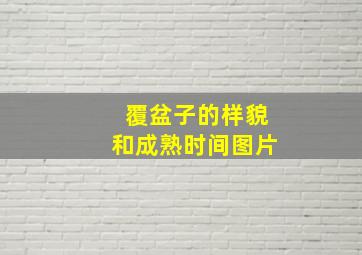 覆盆子的样貌和成熟时间图片