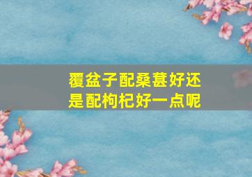 覆盆子配桑葚好还是配枸杞好一点呢