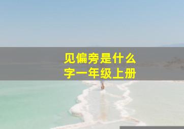 见偏旁是什么字一年级上册