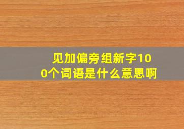 见加偏旁组新字100个词语是什么意思啊