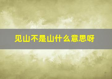 见山不是山什么意思呀