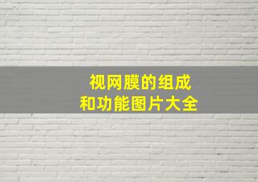 视网膜的组成和功能图片大全