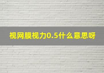 视网膜视力0.5什么意思呀