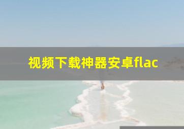 视频下载神器安卓flac