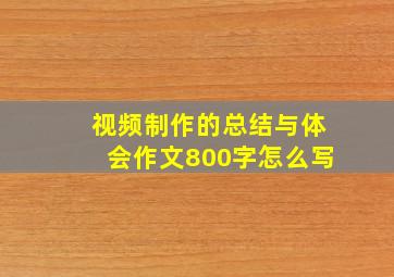 视频制作的总结与体会作文800字怎么写