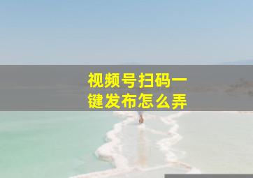 视频号扫码一键发布怎么弄