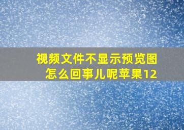 视频文件不显示预览图怎么回事儿呢苹果12