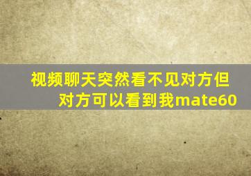 视频聊天突然看不见对方但对方可以看到我mate60