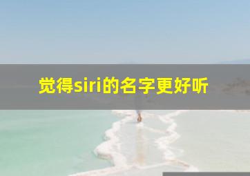 觉得siri的名字更好听