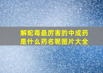 解蛇毒最厉害的中成药是什么药名呢图片大全