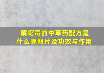 解蛇毒的中草药配方是什么呢图片及功效与作用