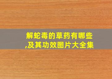 解蛇毒的草药有哪些,及其功效图片大全集