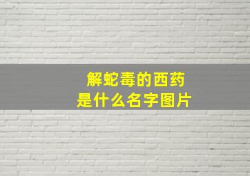 解蛇毒的西药是什么名字图片