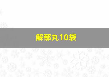 解郁丸10袋