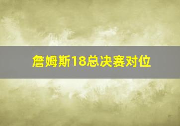 詹姆斯18总决赛对位