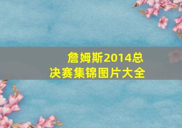 詹姆斯2014总决赛集锦图片大全