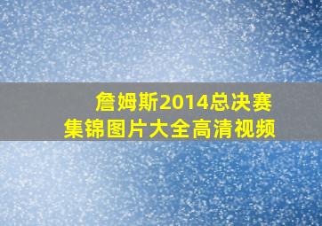 詹姆斯2014总决赛集锦图片大全高清视频