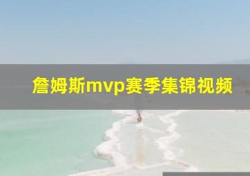 詹姆斯mvp赛季集锦视频