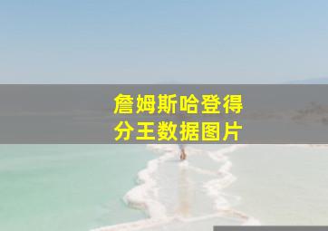 詹姆斯哈登得分王数据图片