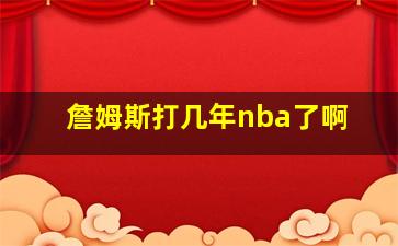 詹姆斯打几年nba了啊