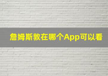 詹姆斯敦在哪个App可以看