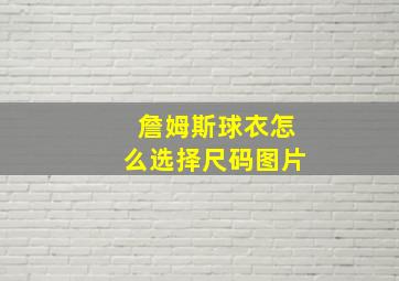 詹姆斯球衣怎么选择尺码图片