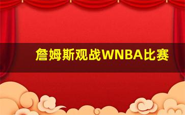 詹姆斯观战WNBA比赛