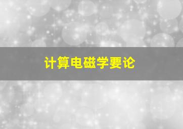 计算电磁学要论