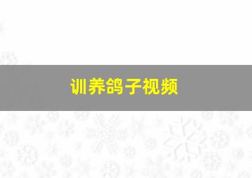 训养鸽子视频