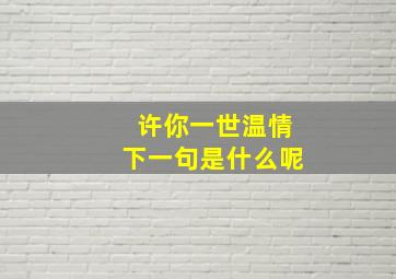 许你一世温情下一句是什么呢