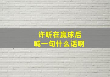 许昕在赢球后喊一句什么话啊