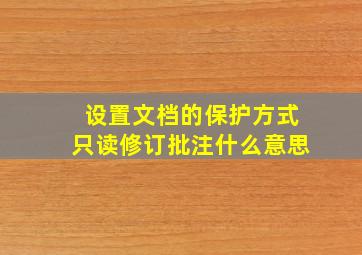 设置文档的保护方式只读修订批注什么意思