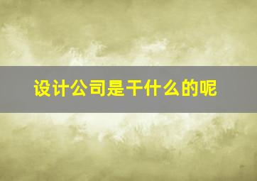 设计公司是干什么的呢