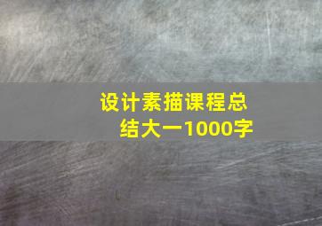 设计素描课程总结大一1000字