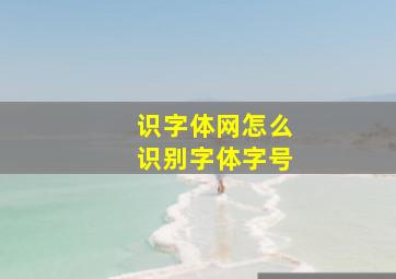 识字体网怎么识别字体字号