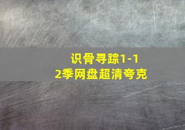 识骨寻踪1-12季网盘超清夸克