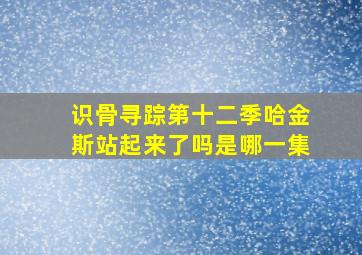 识骨寻踪第十二季哈金斯站起来了吗是哪一集