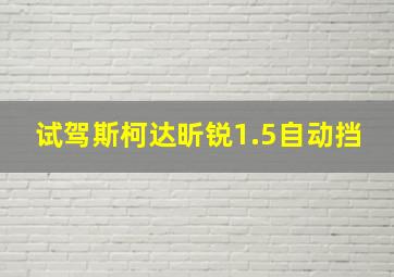 试驾斯柯达昕锐1.5自动挡