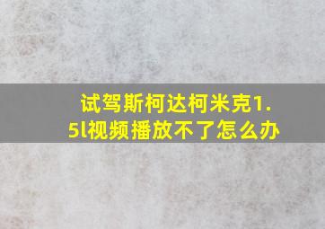 试驾斯柯达柯米克1.5l视频播放不了怎么办