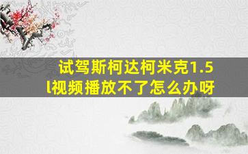 试驾斯柯达柯米克1.5l视频播放不了怎么办呀