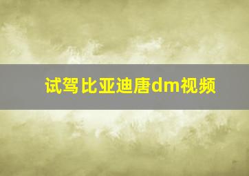 试驾比亚迪唐dm视频