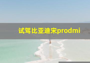 试驾比亚迪宋prodmi