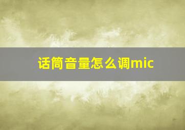 话筒音量怎么调mic