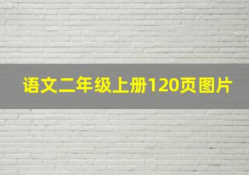 语文二年级上册120页图片